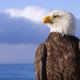The symbol of American might called the 2003 invasion of Iraq "ill-advised at best, illegal at worst."